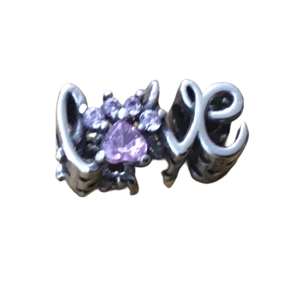 S925 Pet LOVE Paw Print Charm Pandora Style